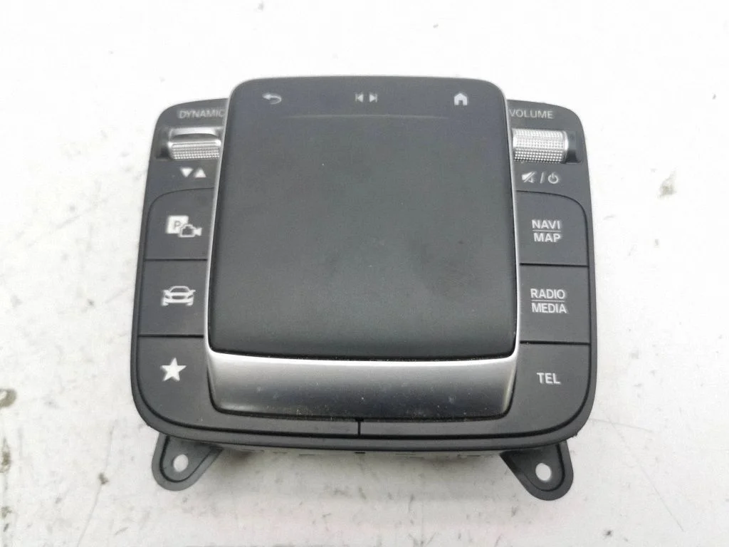 Head unit multimedia control A2479003903