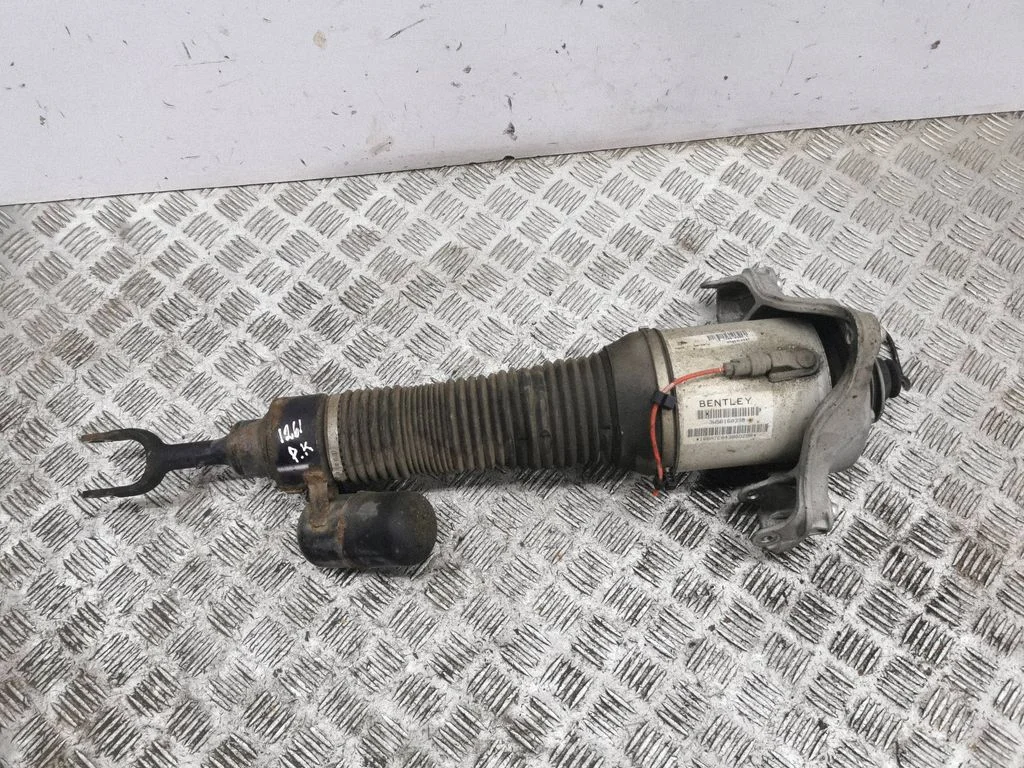 Air suspension front shock absorber 3W5616039B