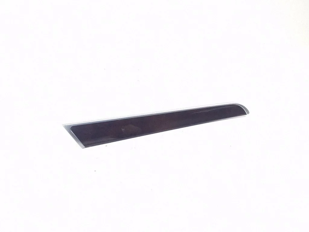 Rear door card trim 4F0867419A