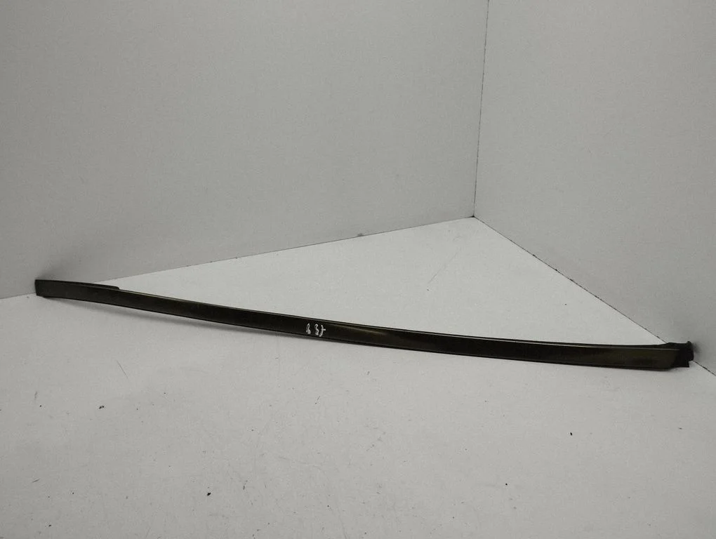 Windshield trim