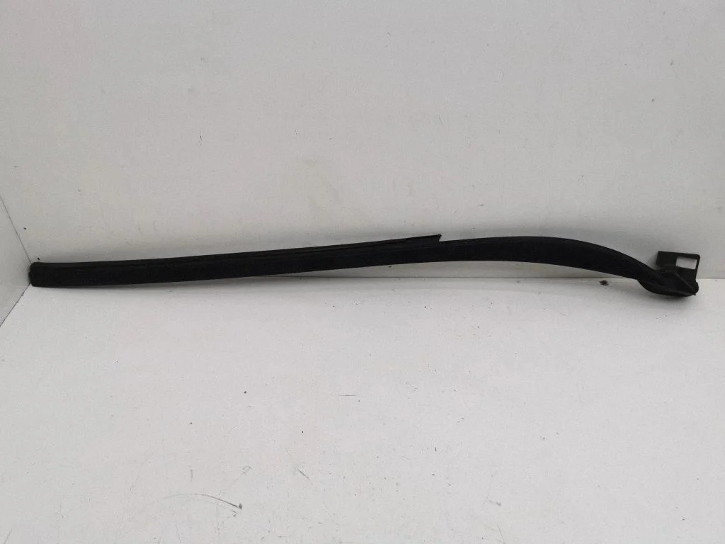 Windshield trim – Renault Zoe (2012-)