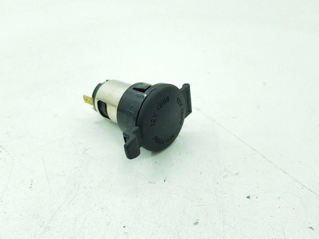 12 V pesa (ees)