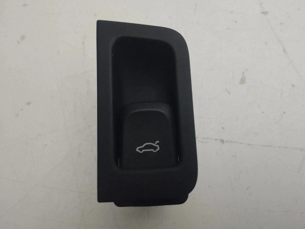 Tailgate opening switch 4G8959830