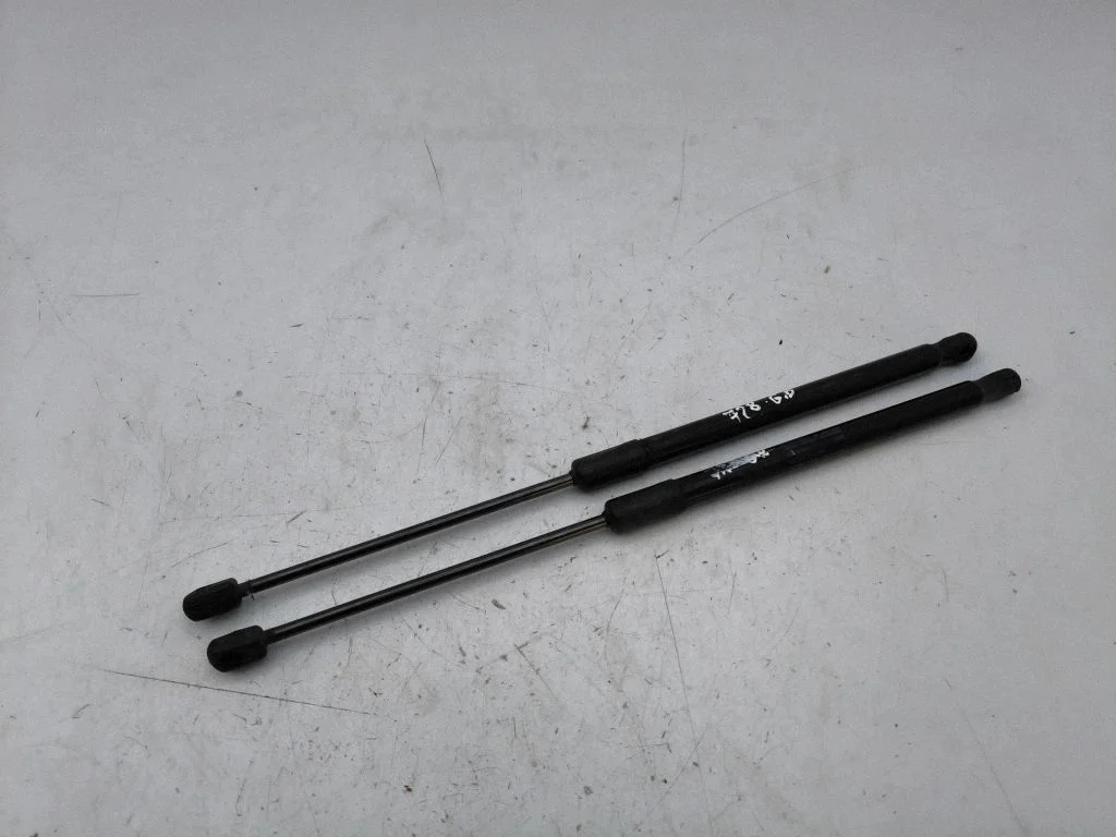 Tailgate strut 82A82755202S
