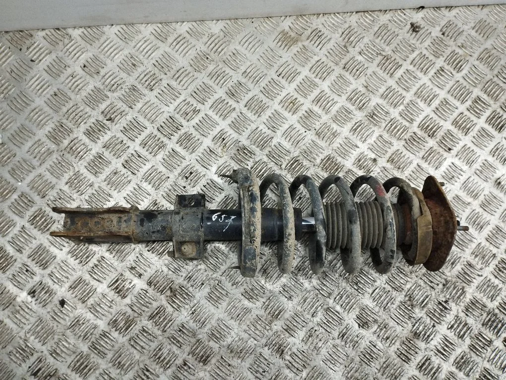 Front shock absorber with coil spring 824904006689