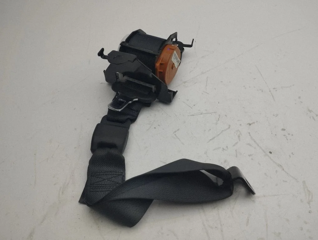 Roof seat belt 309841399A10