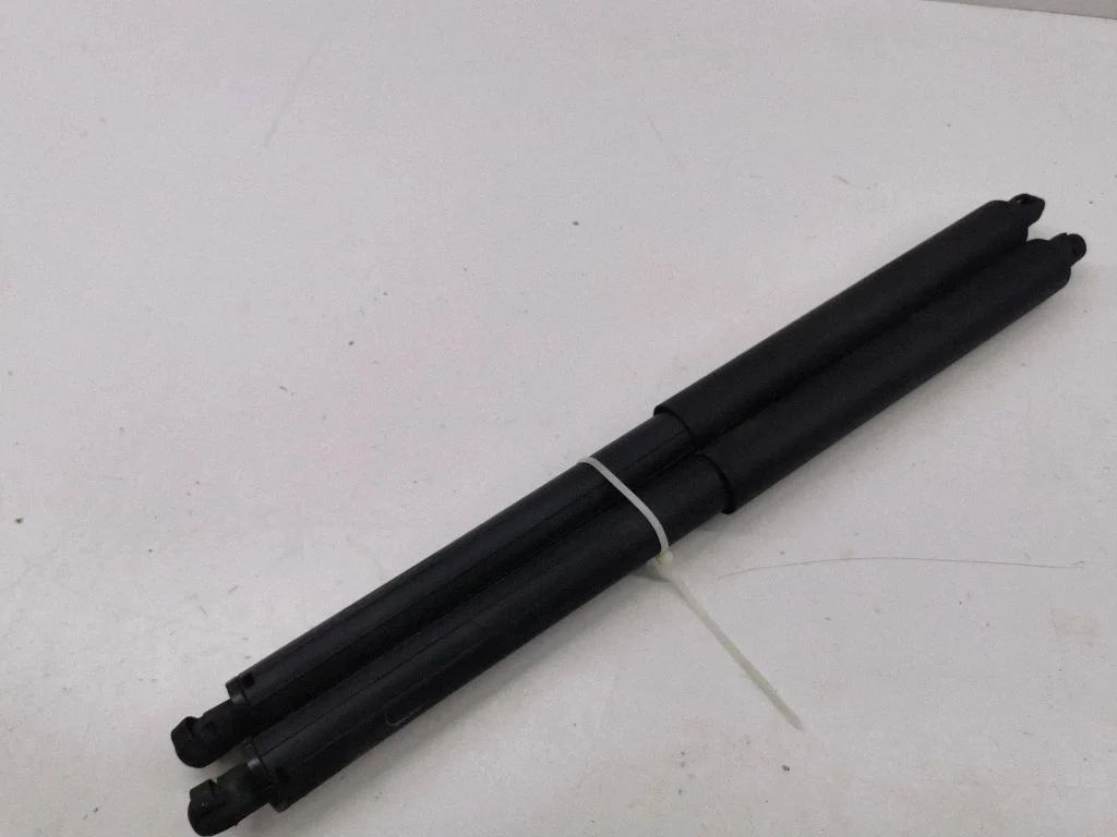 Tailgate strut 3972VU