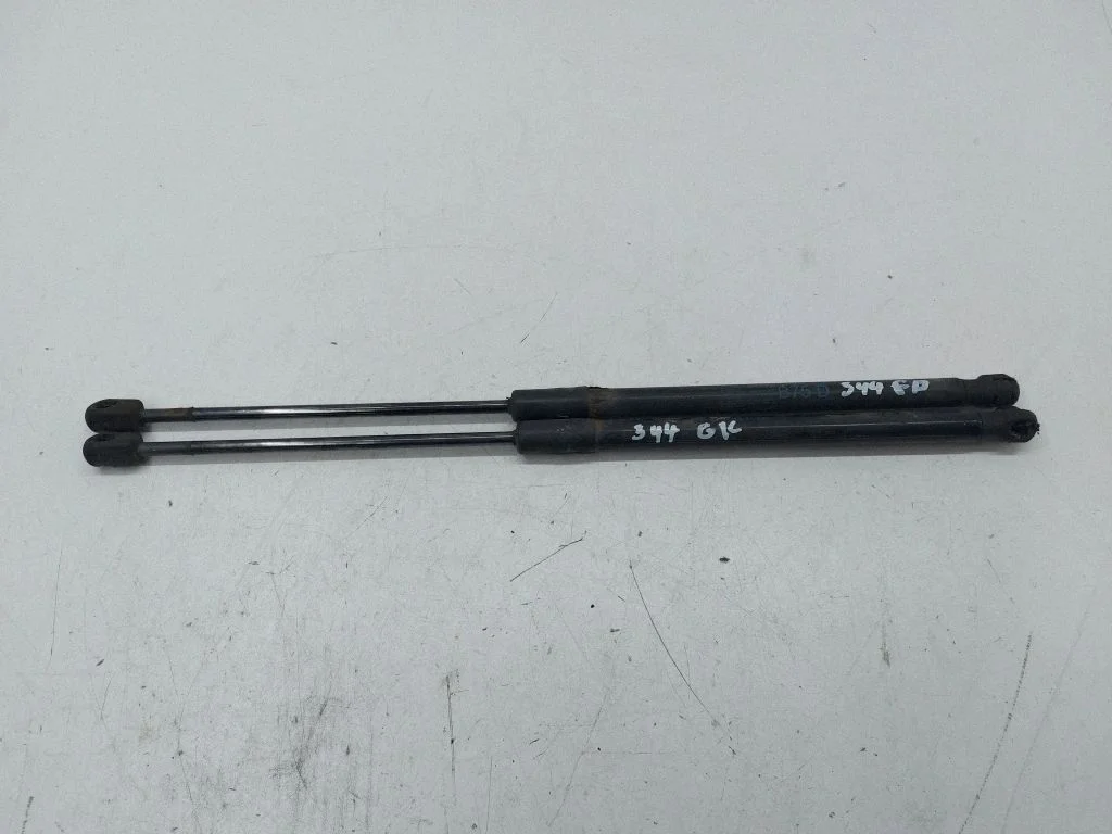 Tailgate strut 250956F30380N