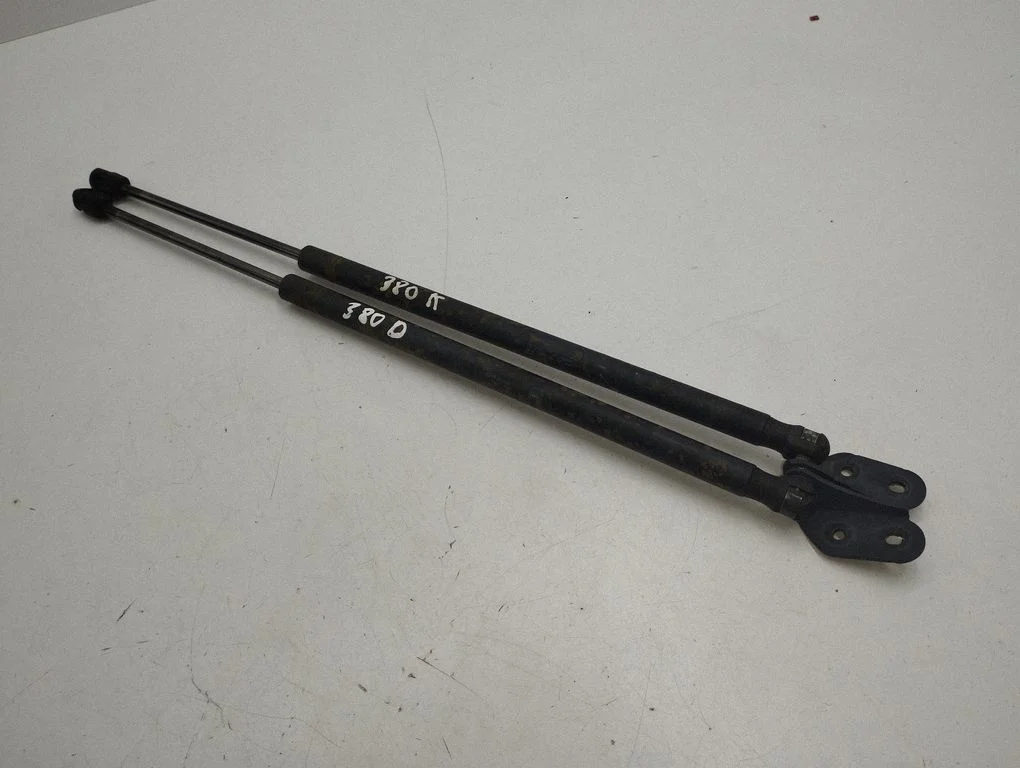 Tailgate strut