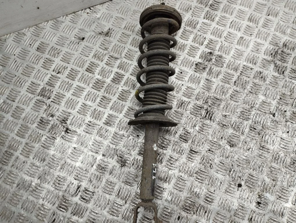 Rear shock absorber with coil spring – left