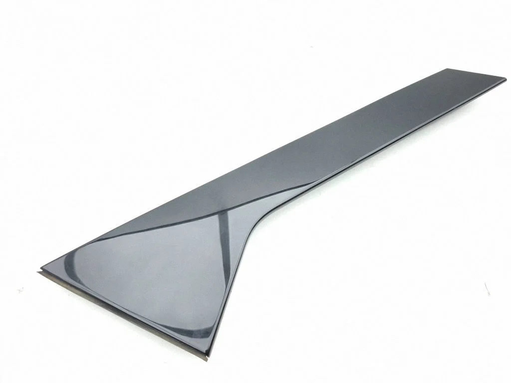 Rear door glass trim molding 9841052780