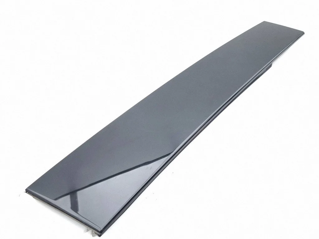 Rear door glass trim molding 9843593780