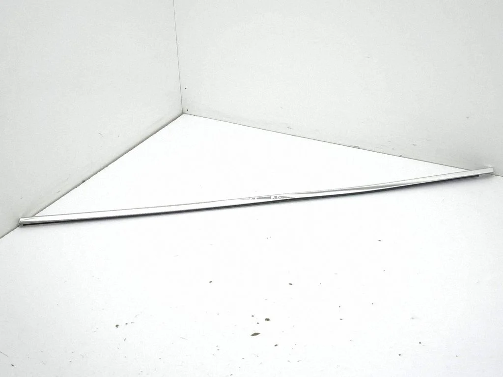 Rear door glass trim molding – left