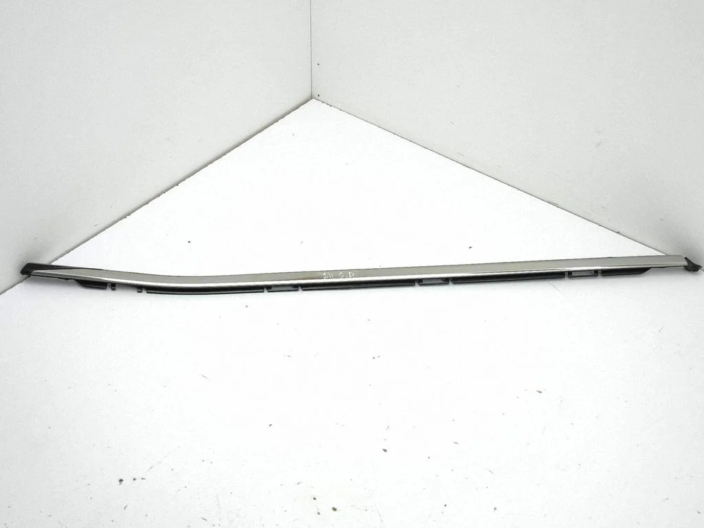 Rear door glass trim molding 9830616080