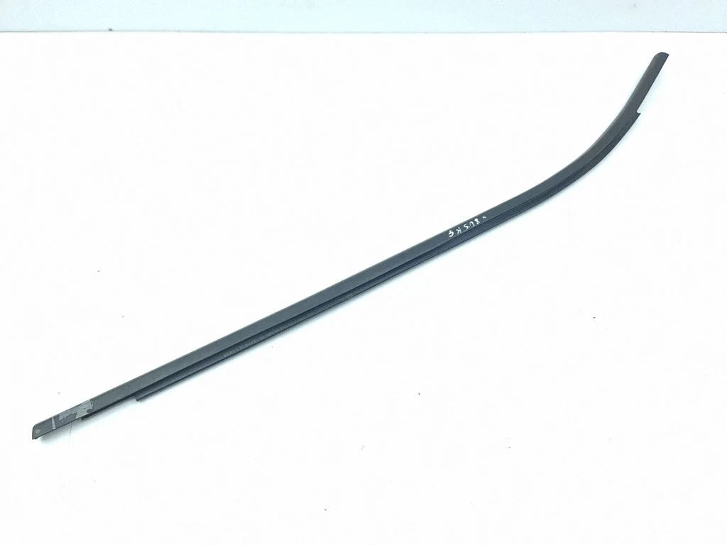 Rear door glass trim molding – left