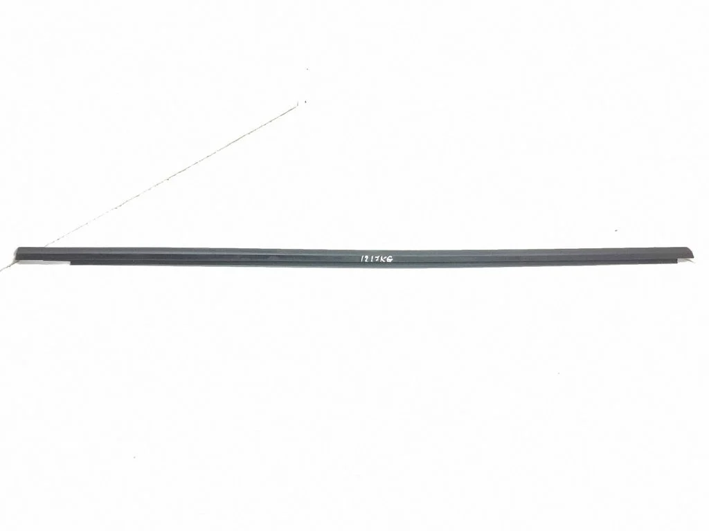 Rear door glass trim molding – left