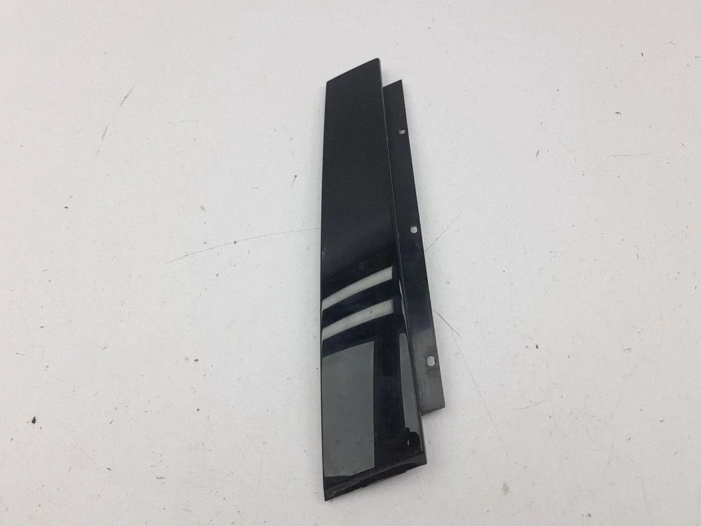 Rear door glass trim molding 5E7839904