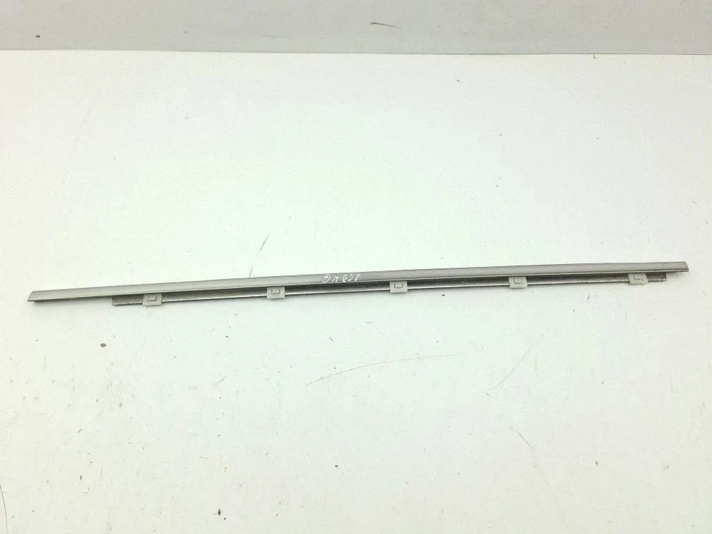 Rear door glass trim molding – left