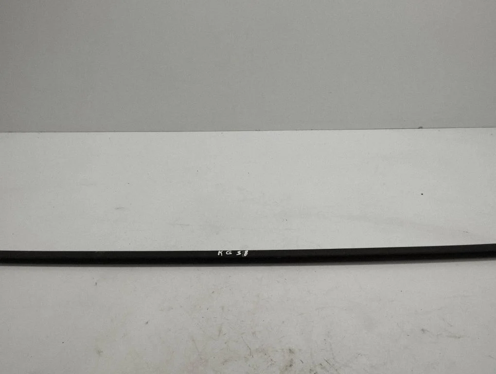 Rear door glass trim molding – left