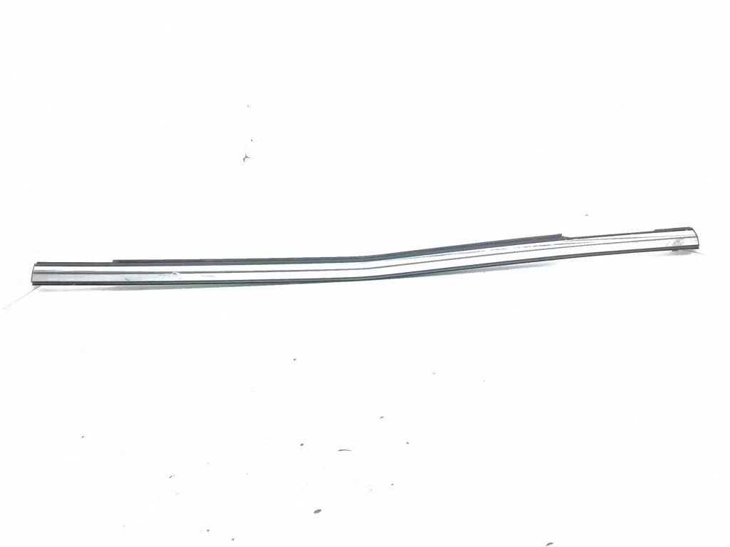 Rear door glass trim molding