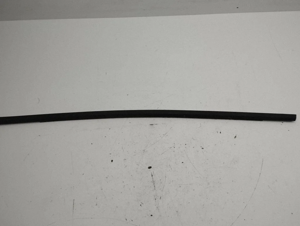 Rear door glass trim molding – left