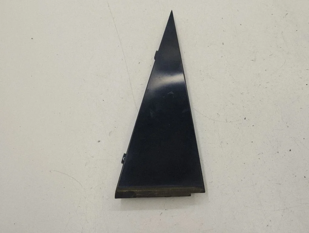 Rear door glass trim molding 96624095