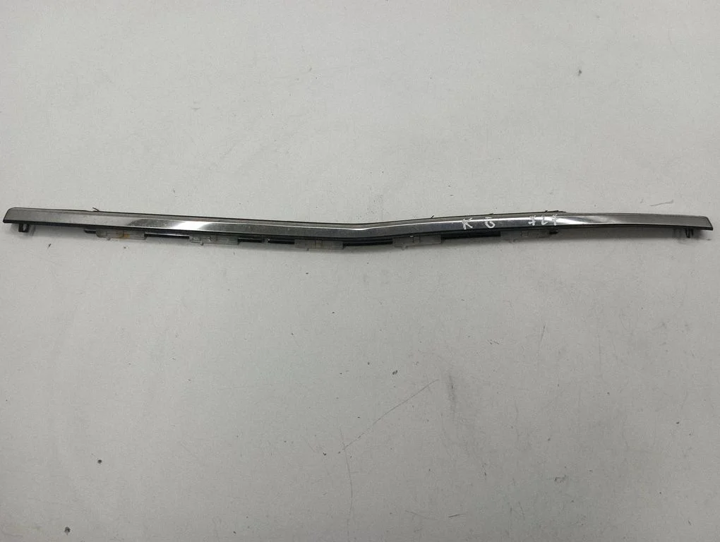 Rear door glass trim molding – left