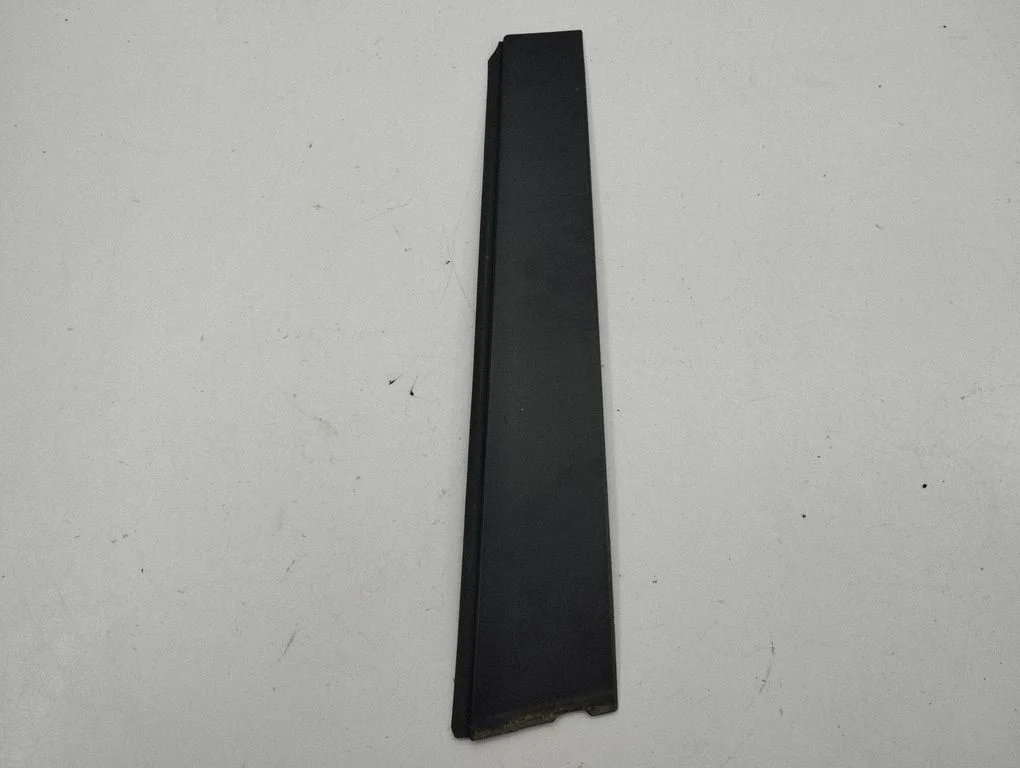 Rear door glass trim molding 75076