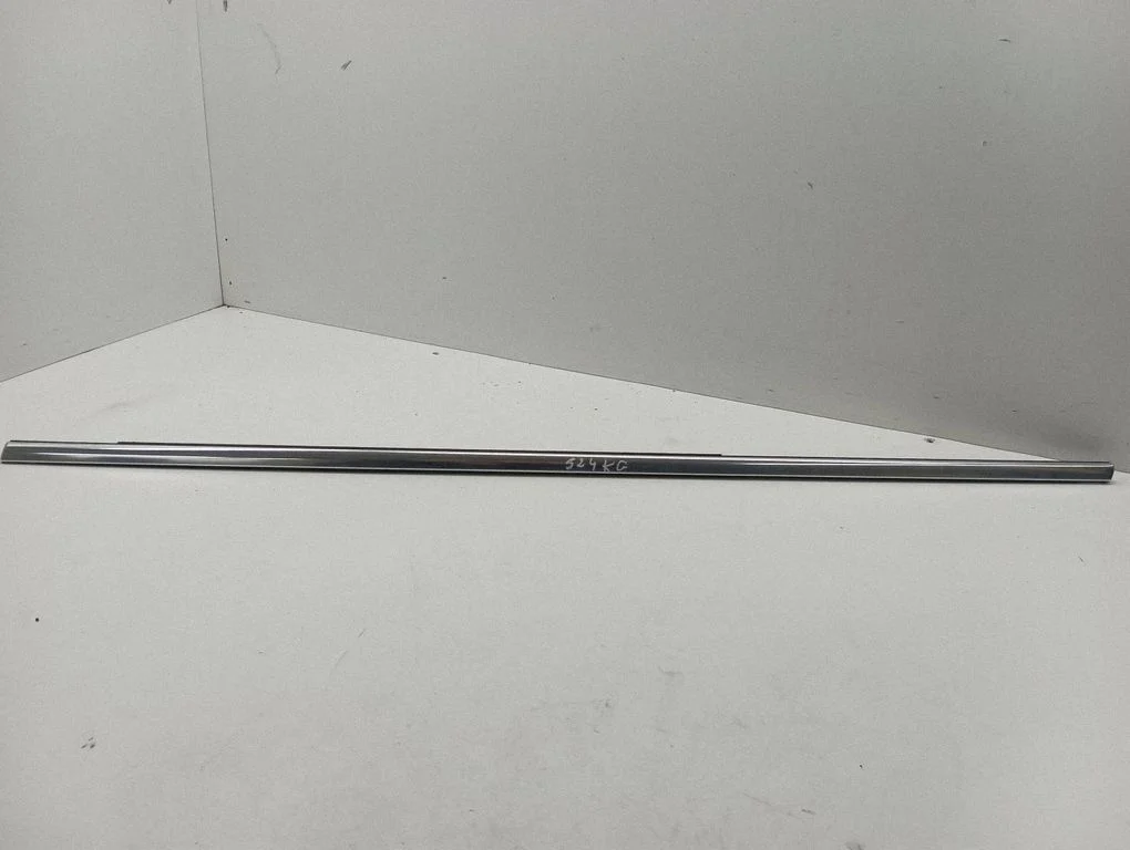 Rear door glass trim molding – left