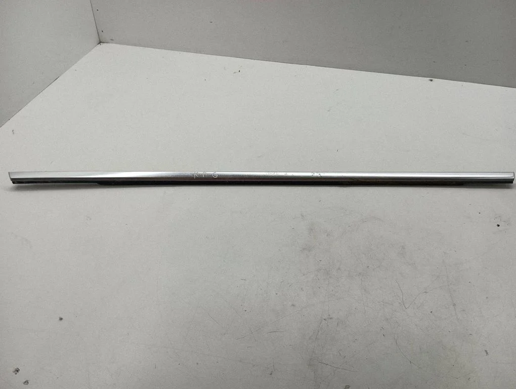 Rear door glass trim molding – left