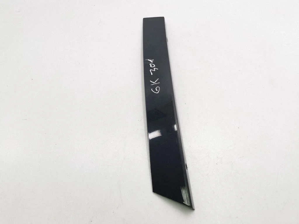 Rear door glass trim molding 2516700187