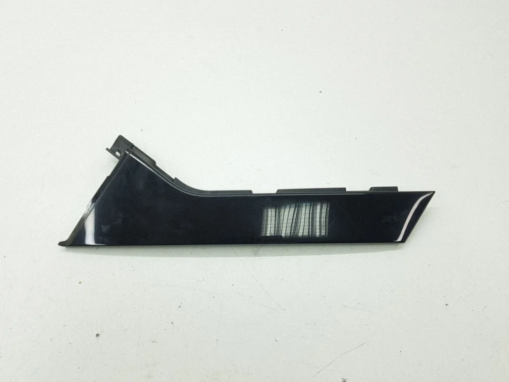 Rear door glass trim molding DS73N254A43