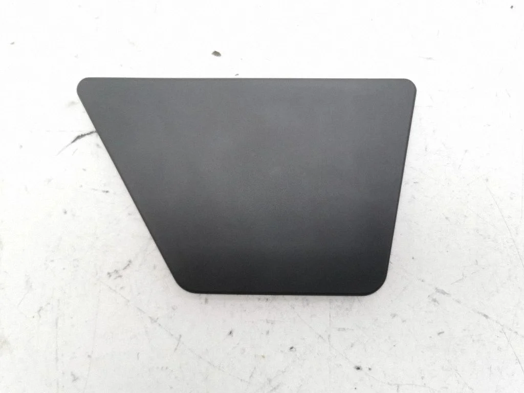 Front door glass trim molding 110008800D