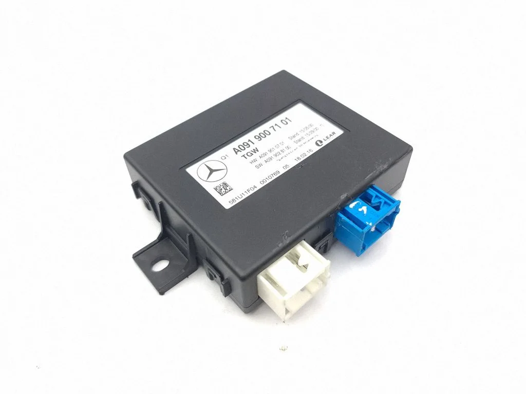 Gateway control module A0919007101
