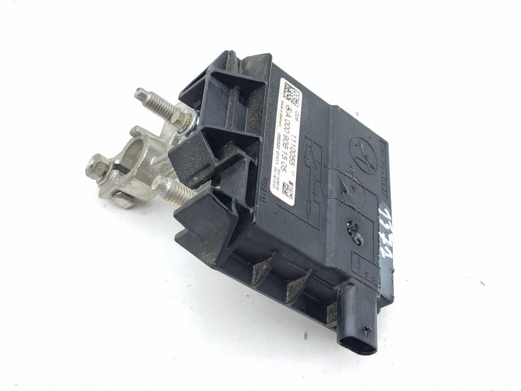 Battery relay fuse A0009061505