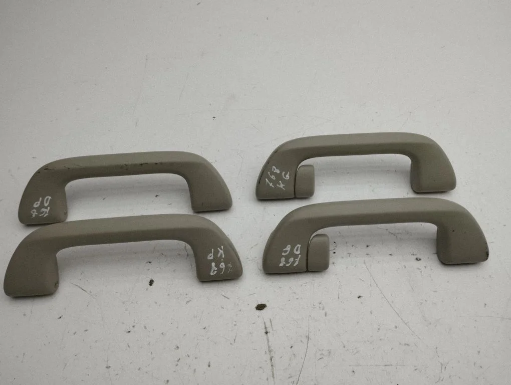 A set of handles for the ceiling – Honda Accord (2008-2016)