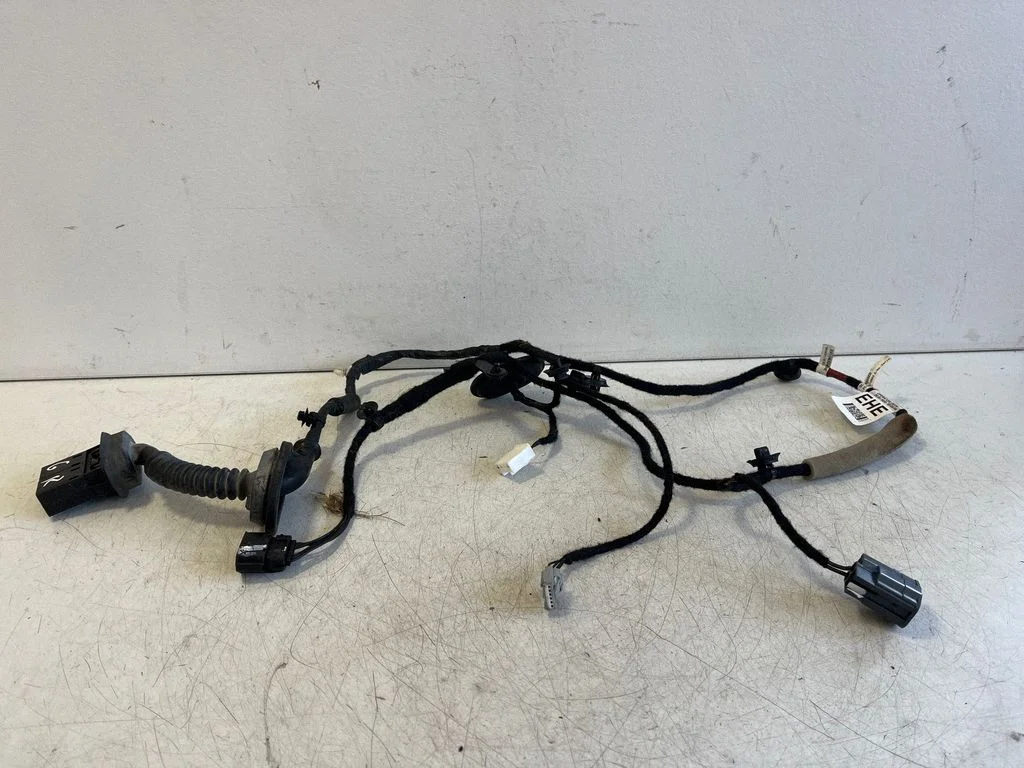 Rear door wiring loom N1WT14632