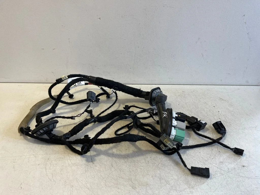Front door wiring loom N1WT14631