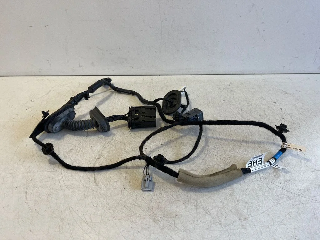 Rear door wiring loom N1WT14633