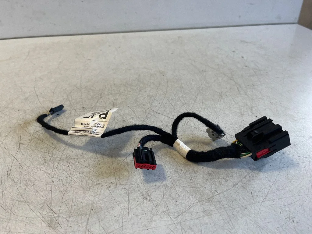 Other wiring loom N1WT14G540