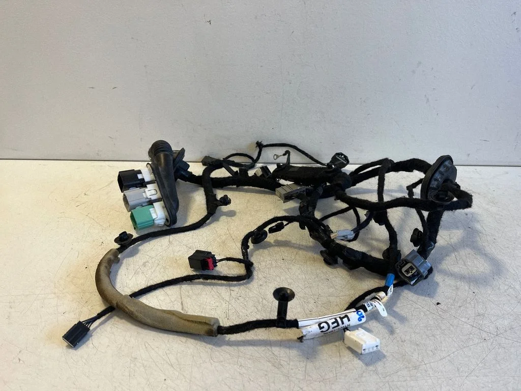Front door wiring loom N1WT14630