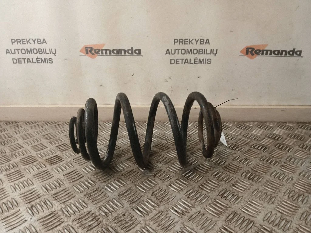 Rear coil spring