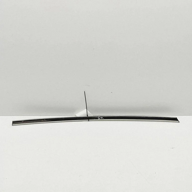 Rear door glass trim molding 11502597
