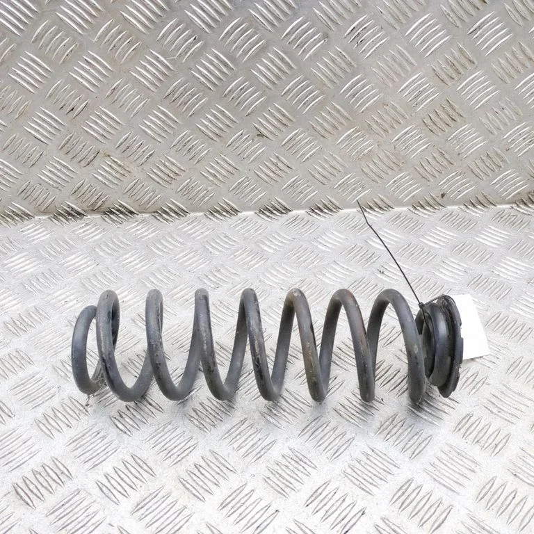 Rear coil spring 550204082R