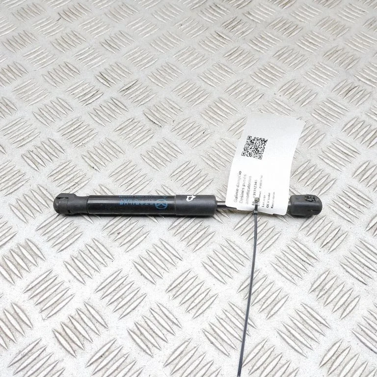Tagaluugi gaasiamortisaator N24356930