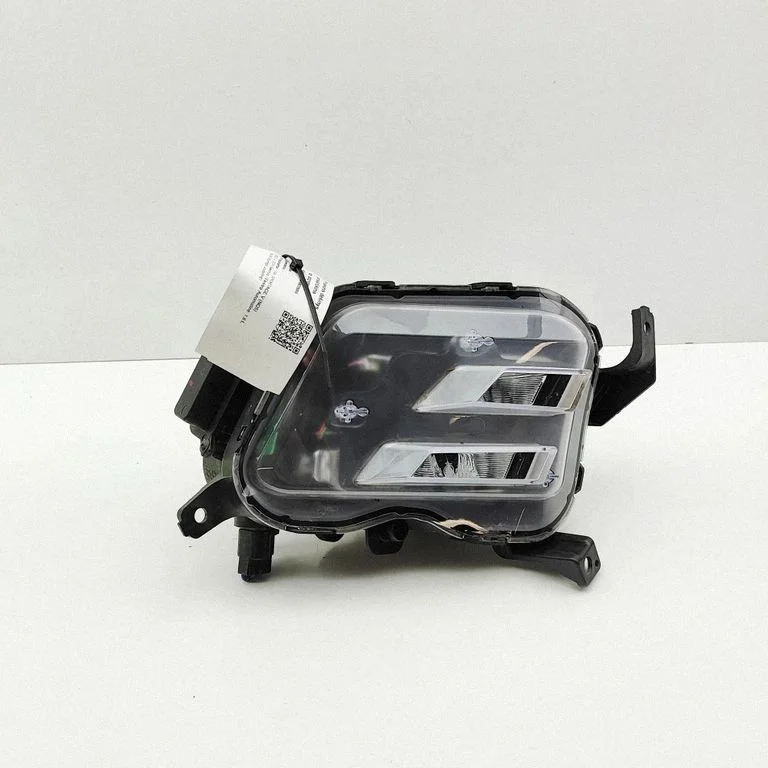 Front fog light 92202R2000