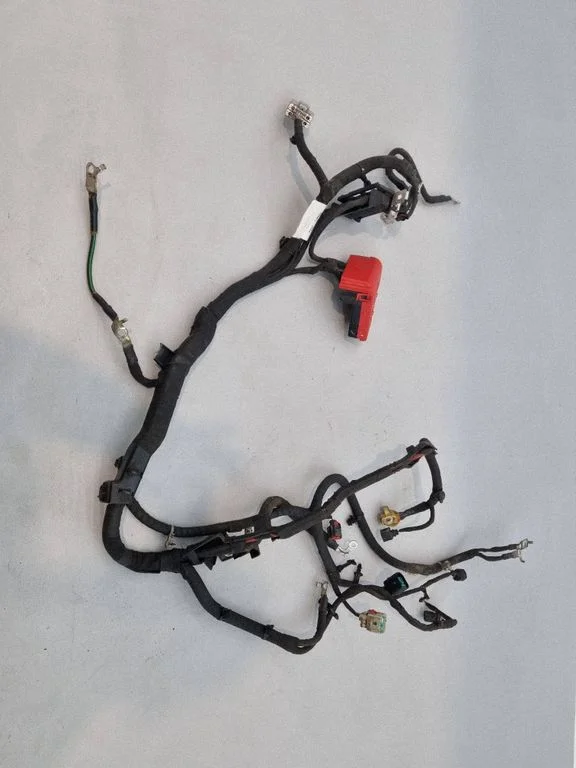 Engine installation wiring loom