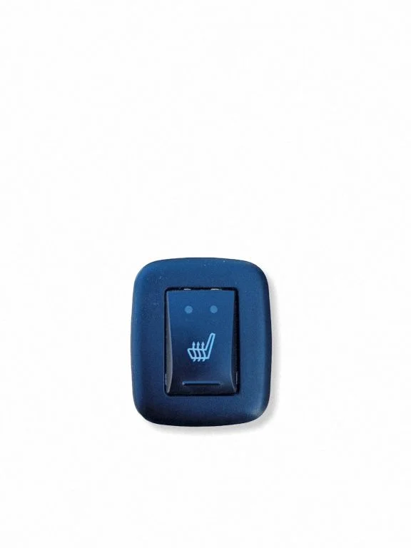 Seat heating switch 1WG43DX9AA