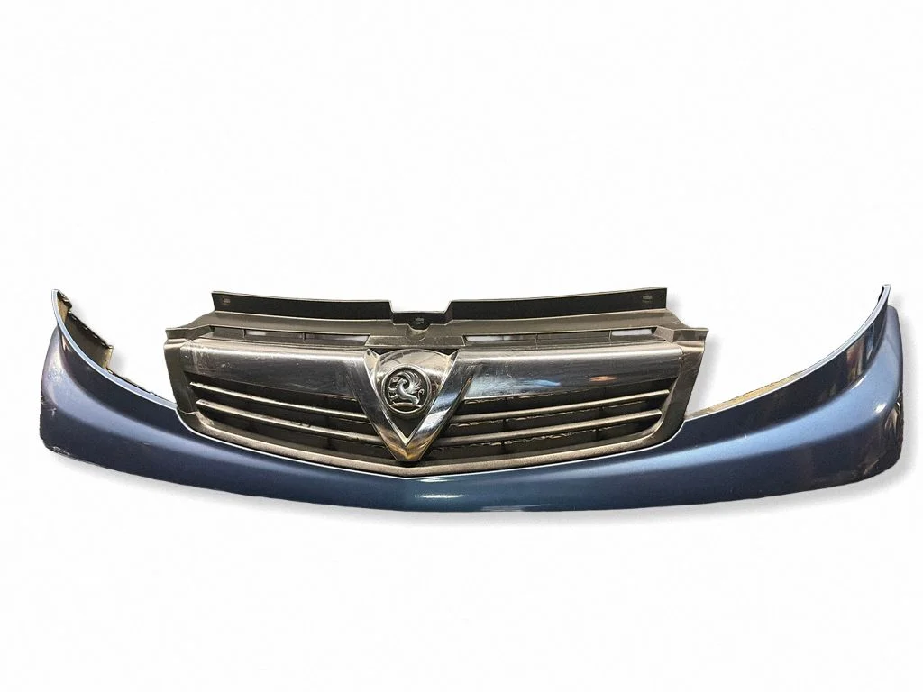 Front grill 623100248R