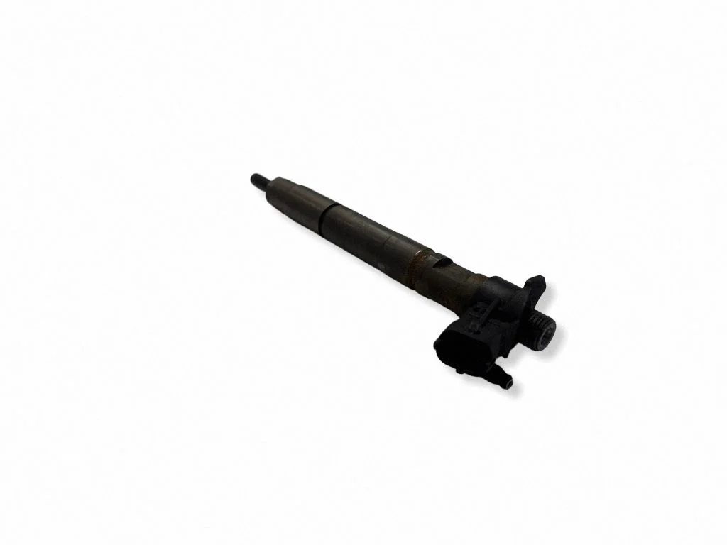 Fuel injector – Chrysler Grand Voyager V (2007-2015)